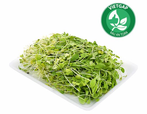 Rau mầm cải xanh L1 Vineco 200g